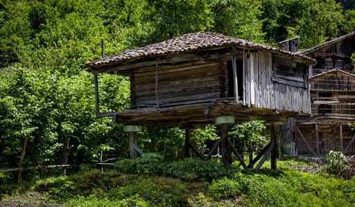 A beautiful village house among the trees in a forest captured in Switzerland
