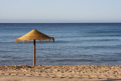 A beautiful view of sandy beach with a wooden umbrella and sea in the background