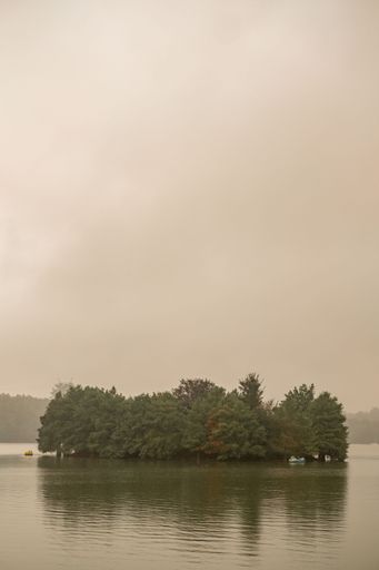A tranquil landscape featuring an idyllic lake surrounded by a lush forest of small trees