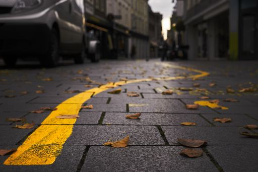 A closeup shot of a yellow line with autumn leaves on the street