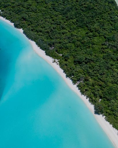 An aerial view of the beautiful sea surrounded by greenery and beach on a sunny day