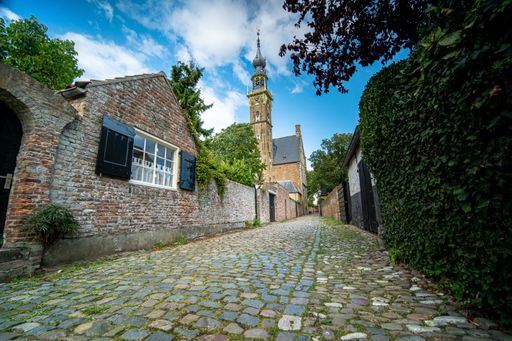 A high angle shot of a stoned alley and bricked wall buildings with greenery on the right side