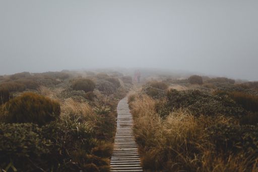 A high angle shot of a wooden path covered with fog in the Mount Taranaki, New Zealand