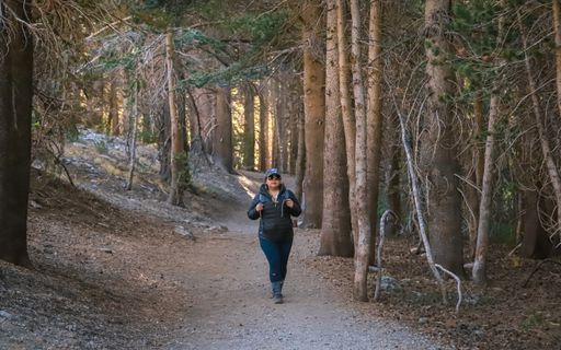 A female solo hiker walks along the trail through the eastern California forest.