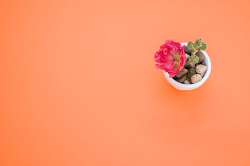 A top view of a pink carnation flower in a small flower pot, placed on an orange surface, with space for text