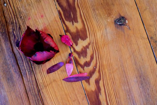 guitar , on a wooden table, with dried red flowers