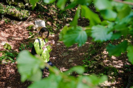 Young woman looking at her mobile phone while hiking in Asturias, leaves in the foreground