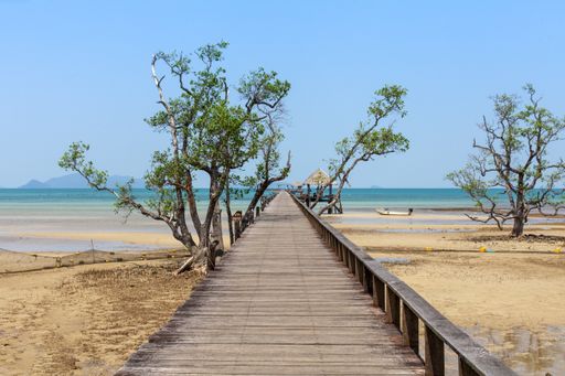 A picture of a wooden bridge in a sea surrounded by greenery and beaches in Koh Mak, Eastern Thailand