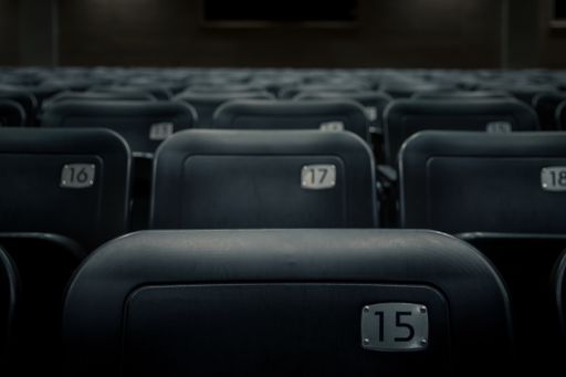 Rows of numbered theatre seats in a dark empty theater/auditorium.