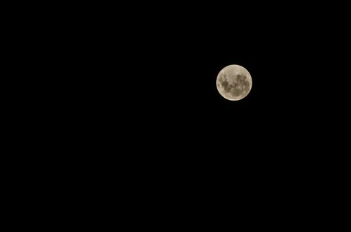 A low angle shot of the full moon in the night sky