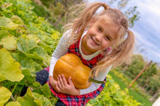 A shallow focus of a little girl wearing a flannel dress and holding a pumpkin in a farm field