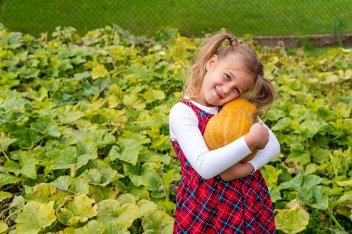 A little girl wearing a flannel dress and hugging a pumpkin in a farm field