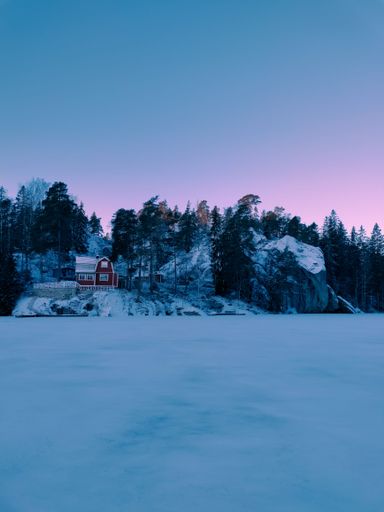 A vertical shot of a snow-covered field with spruces and a wooden home