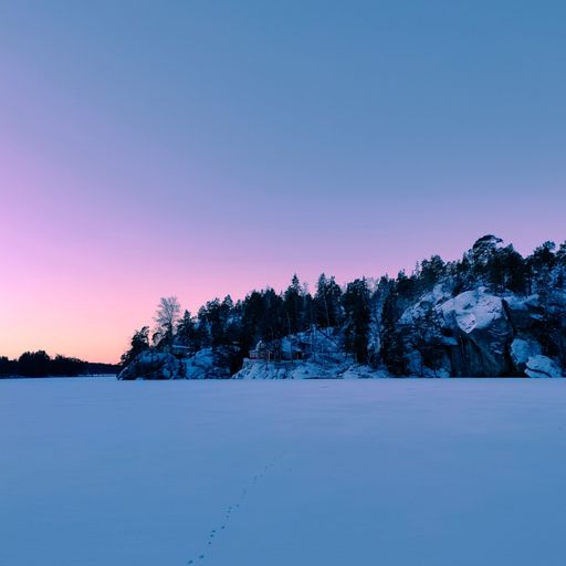 A scenic shot of a snow-covered field with spruces at sunset