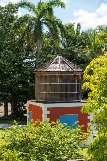 A vertical shot of a small wooden structure in a forest surrounded by tropical nature in sunlight