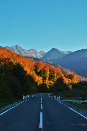 A vertical shot of the Transfagarasan winding road in Fagaras Mountains in Romania