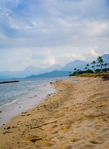 A vertical shot of a sunny sandy seashore in Oahu Island, Hawaii