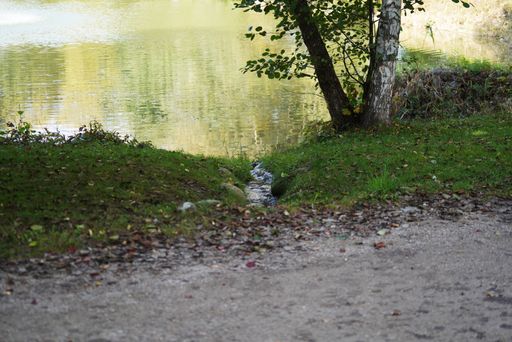 A beautiful shot of a park road near a lake