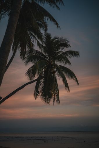 A beautiful scenery of the sandy beach of Moorea island during a cloudy sunset in French Polynesia