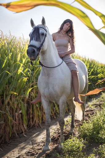 A vertical shot of an attractive female riding a horse through the field