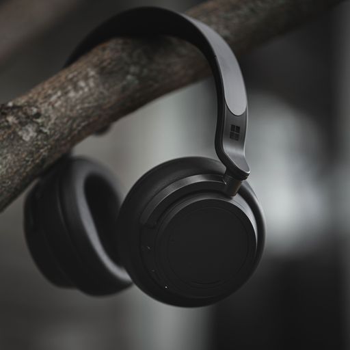 A selective focus of Microsoft Surface headphones in matte black color hanging from a tree branch
