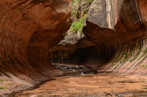 A mesmerizing shot of Narrows in Zion National Park, Utah