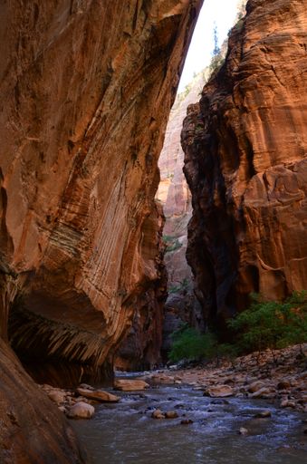 The Narrows of Zion Canyon in Zion National Park, Utah, United States