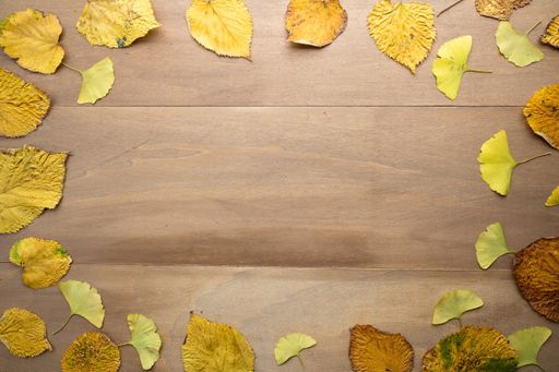 A wooden background with beautiful autumn leaves - space for text