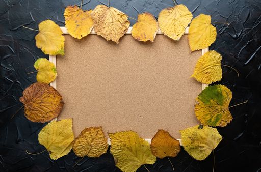 A wooden background with beautiful autumn leaves - space for text