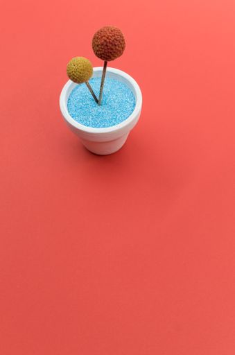 A vertical high angle shot of an artificial flower on an isolated red background