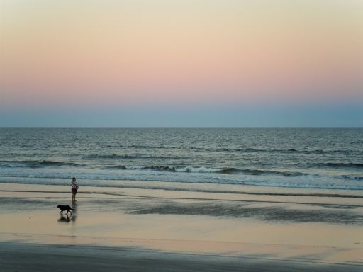 A calm autumn evening in the beach. A man walks his dog enjoying the sight of the sea and a colorful sunset in the background. Bbacklit silhouette