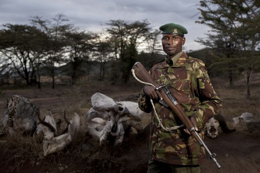 A shallow focus shot of an African male soldier with animal skulls in the background