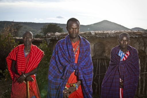 A shallow focus shot of three African male looking at the camera