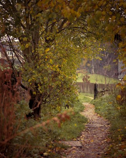 A covered-by-falling leaves road surrounded by colorful trees continuing till the woody fence