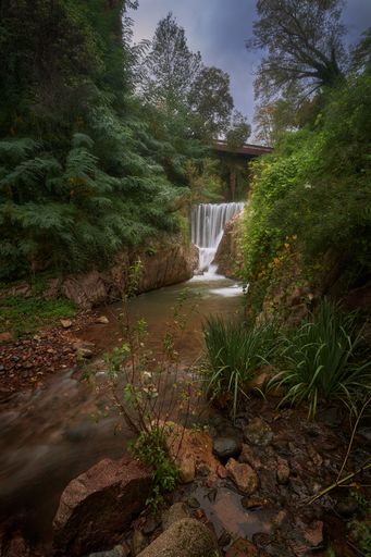 A vertical shot of a beautiful waterfall in a forest surrounded by lush greenery