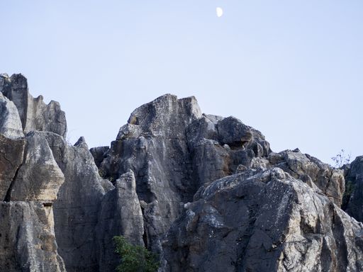 A closeup shot of a canyon in Cerro del Hierro, Sevilla