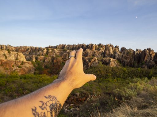 A closeup shot of a male's hand reaching for a canyon in Cerro del Hierro, Sevilla, Spain
