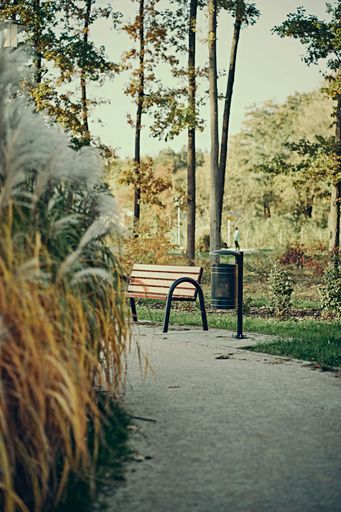 A vertical shot of a wooden bench and a bin in an autumn park