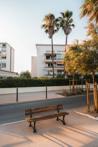 Sunlit bench with palm trees and a building in the background on the seaside promenade in Le Lavandou, France