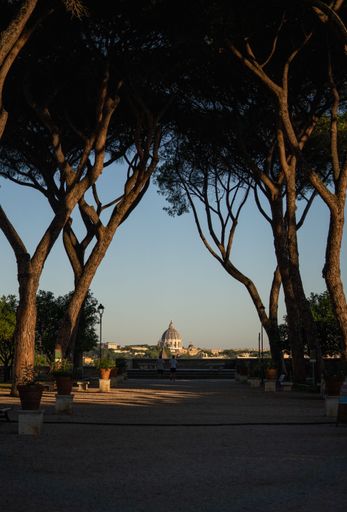 A beautiful view of the St. Peter's Basilica in Vatican City, through the park