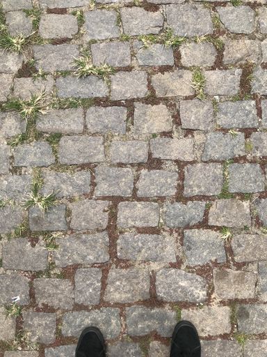 A vertical shot of stone pavement in the park