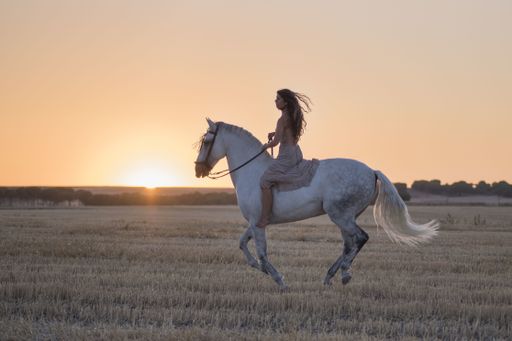 An attractive young Caucasian female with a beautiful dress riding a horse in the countryside at sunset