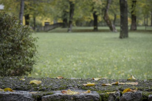 A selective focus shot of autumn leaves on a wooden plank in a park