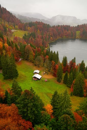A vertical aerial shot of houses on the mountainside near autumn trees and a lake