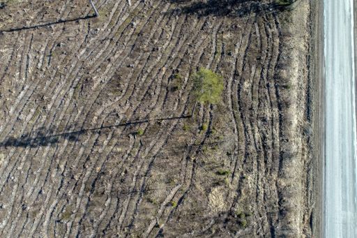 An overhead shot of a rural dirt field