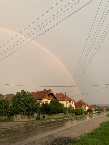 A vertical shot of rural houses along a road and green trees under a rainbow on a rainy day