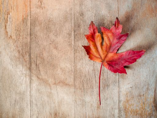 A top view of a dry red maple tree leaf on a wooden table with space for text