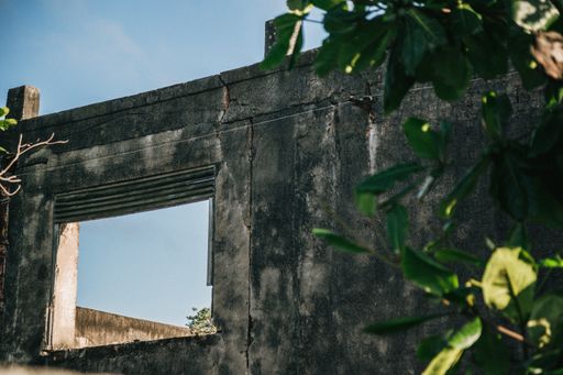 A closeup shot of old house ruins covered with green plant leaves