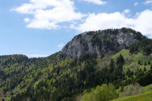 A landscape of the Swiss alps covered with forests ad rocks under a blue cloudy sky