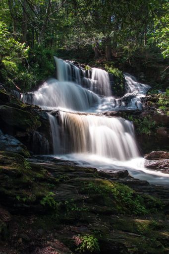 A beautiful view of a waterfall from rocks in a forest with trees